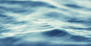 Chi governa l’acqua?